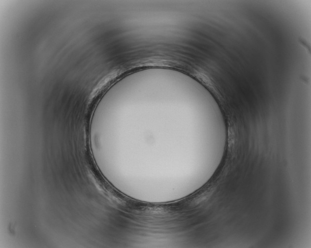 X0000102530349200808081058