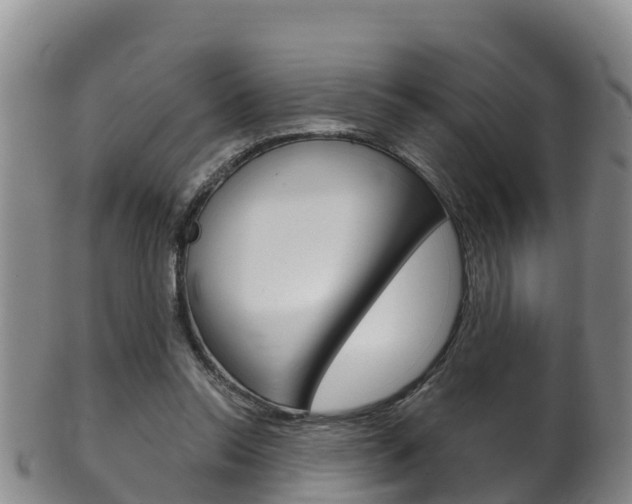 X0000102530350200808081058