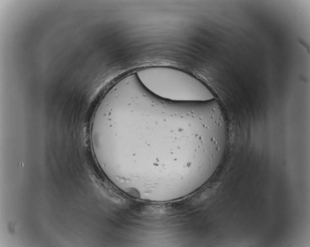 X0000102530351200808081058