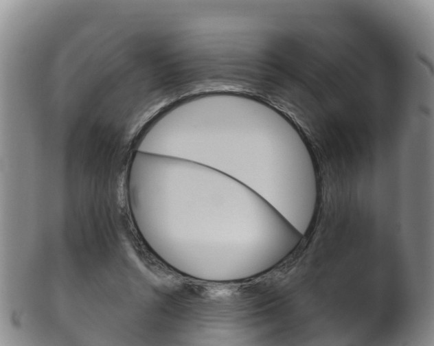 X0000102530352200808081058