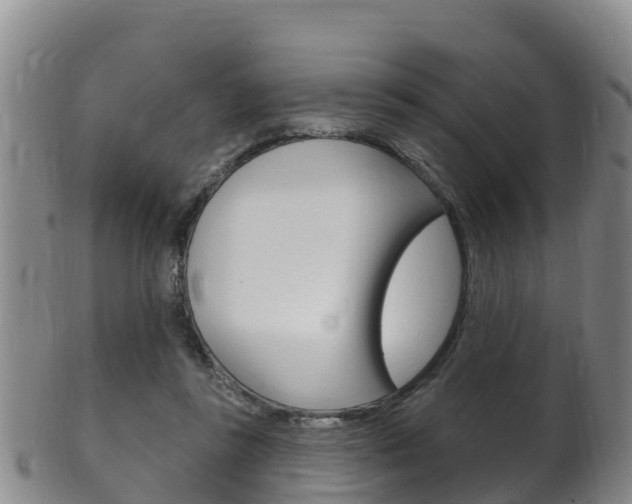 X0000102530355200808081058