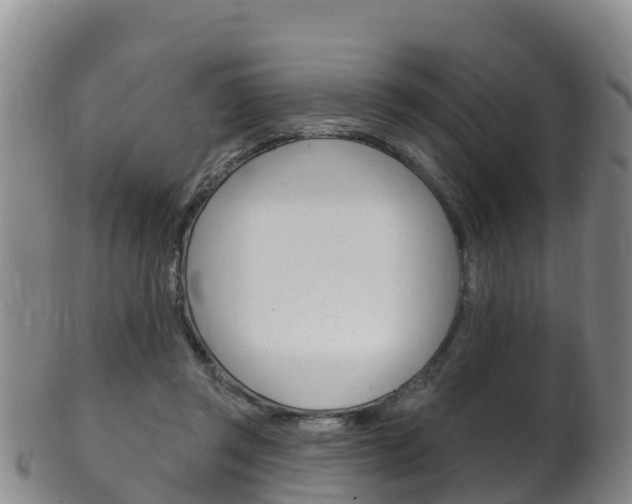 X0000102530357200808081058