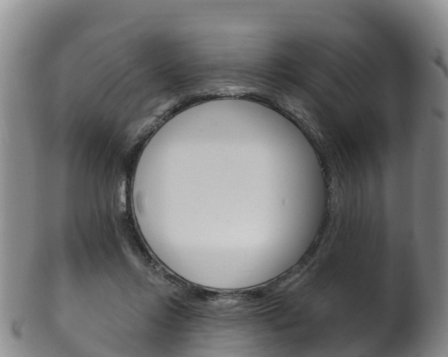 X0000102530358200808081058