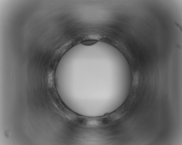 X0000102530360200808081058