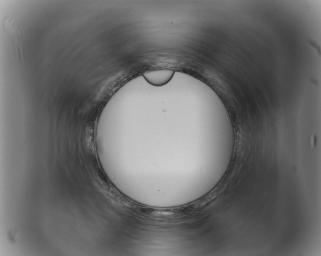 X0000102530361200808081058