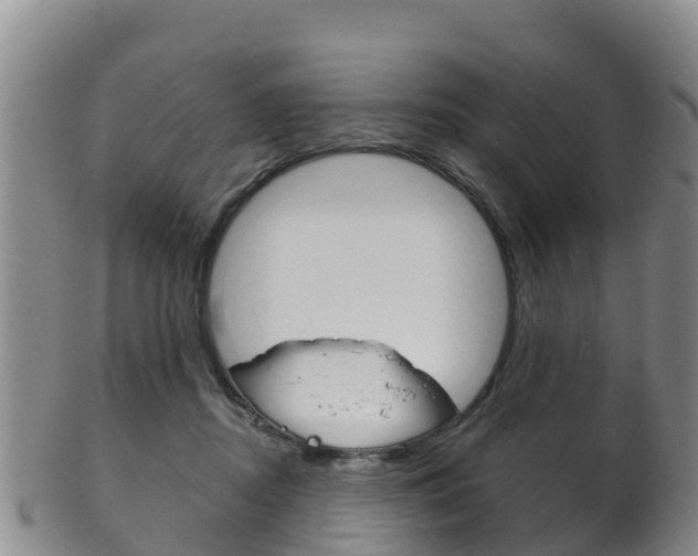 X0000102530362200808081058