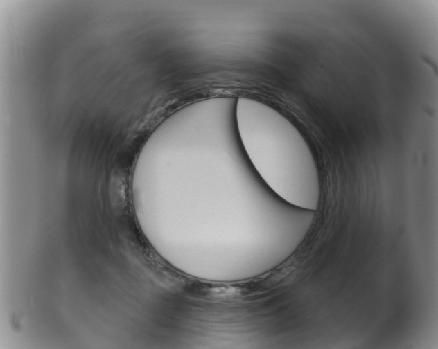 X0000102530363200808081058