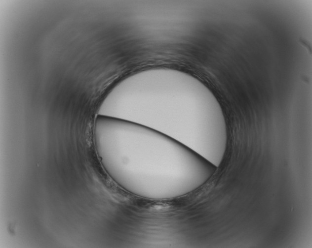 X0000102530364200808081058