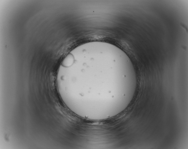 X0000102530366200808081058