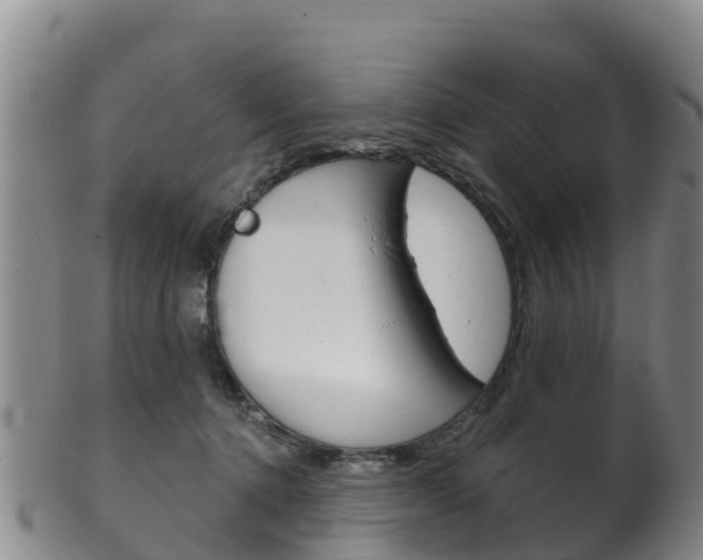 X0000102530368200808081058