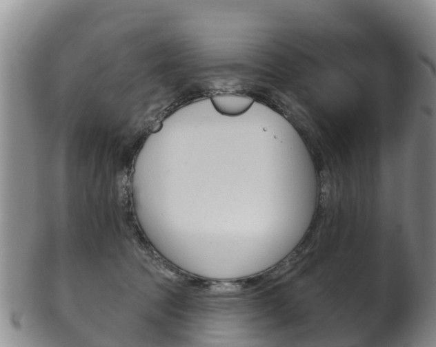 X0000102530369200808081058