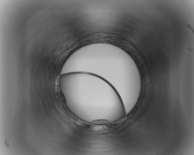 X0000102530372200808081058