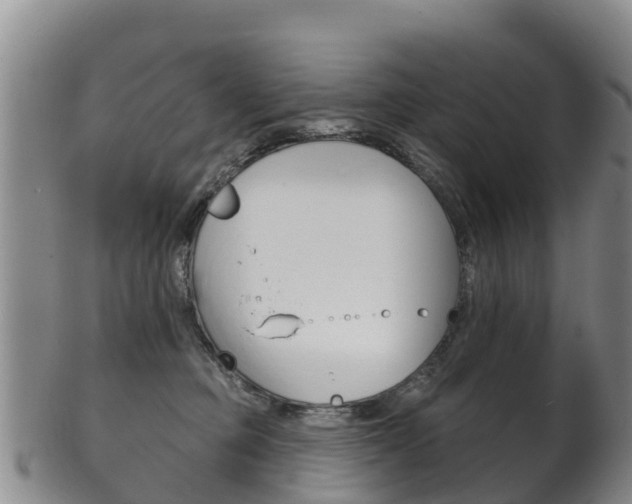 X0000102530373200808081058