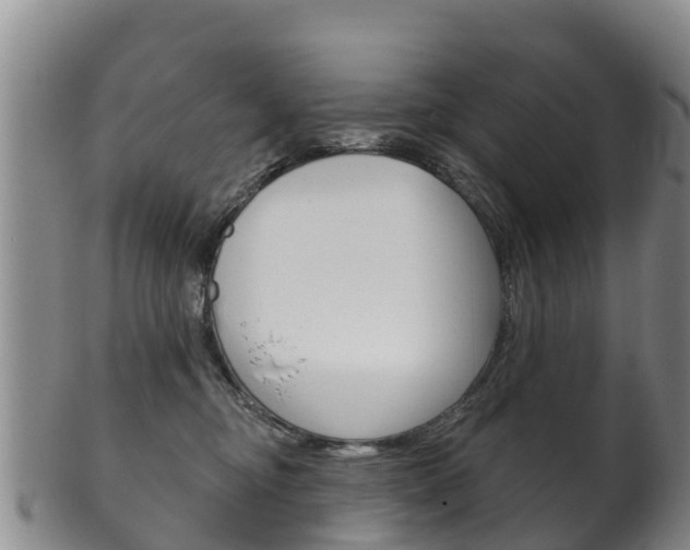 X0000102530374200808081058
