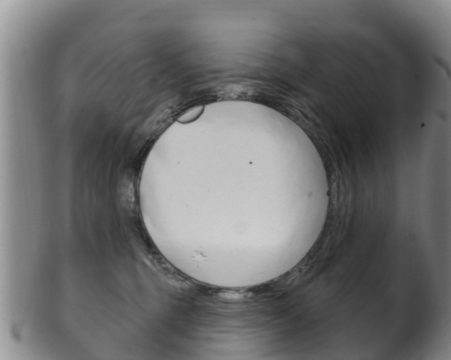 X0000102530375200808081058