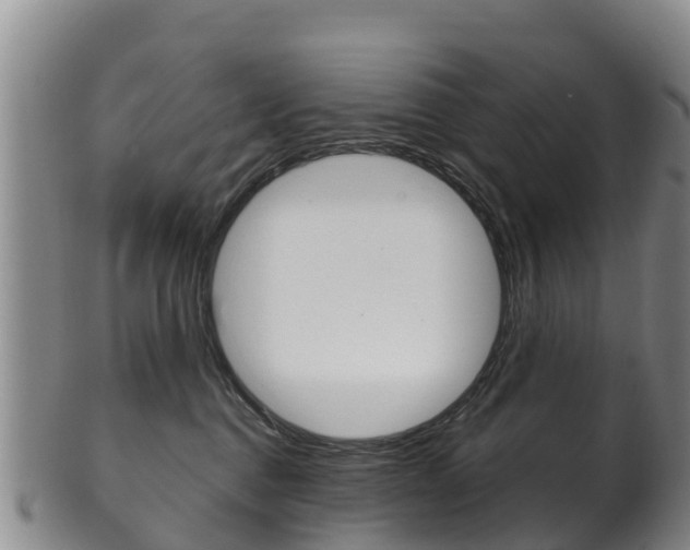 X0000102530376200808081058