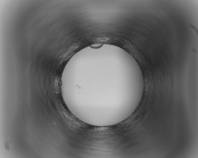 X0000102530378200808081058