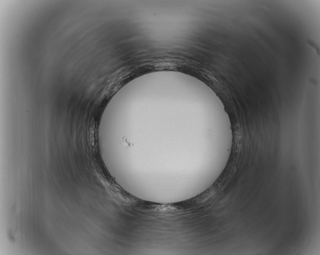 X0000102530379200808081058