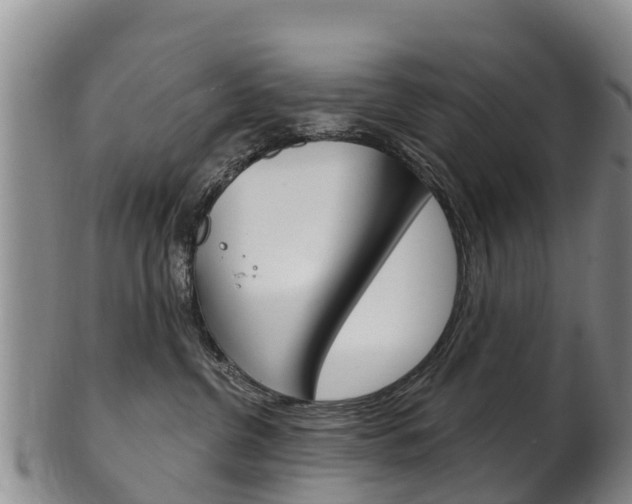 X0000102530380200808081058