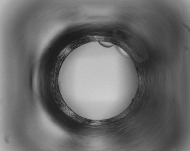 X0000102530381200808081058