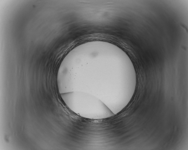 X0000102530382200808081058