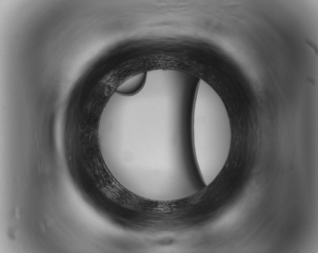 X0000102530383200808081058
