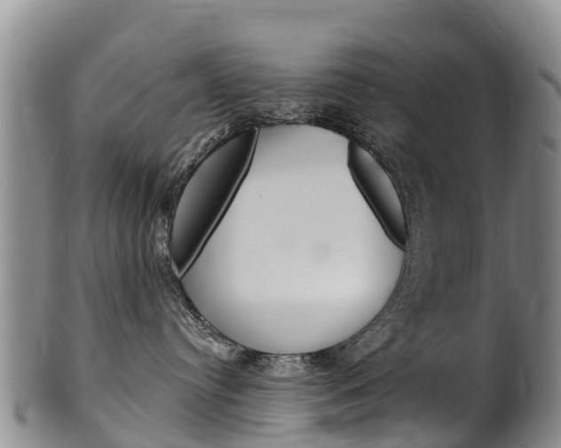 X0000102530384200808081058