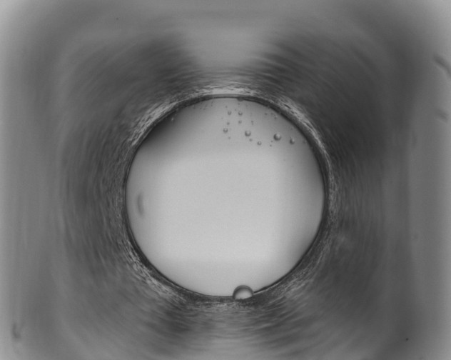 X0000102530385200808081058