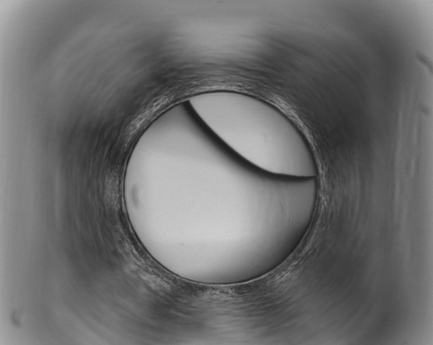 X0000102530386200808081058