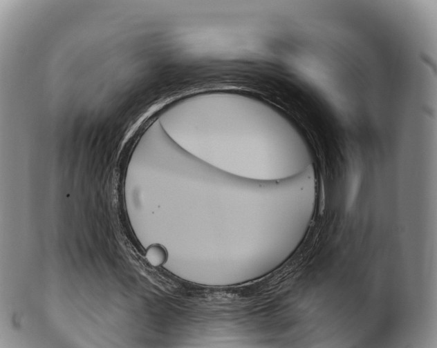 X0000102530387200808081058