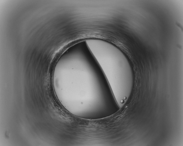 X0000102530388200808081057