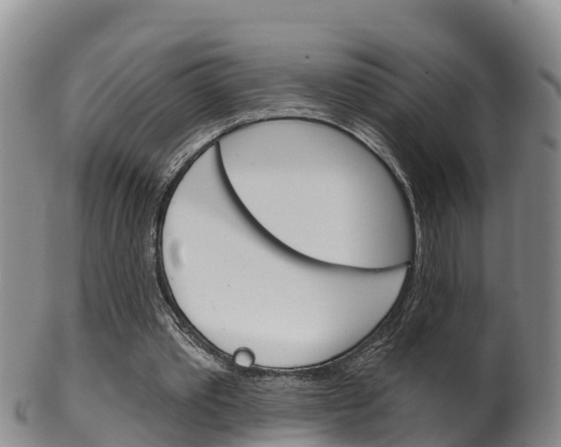 X0000102530389200808081057