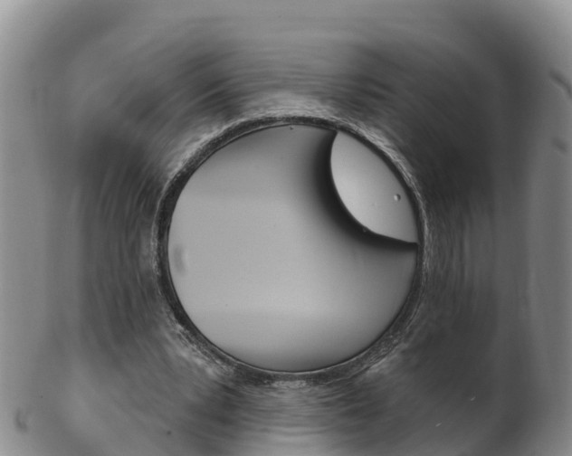 X0000102530391200808081057