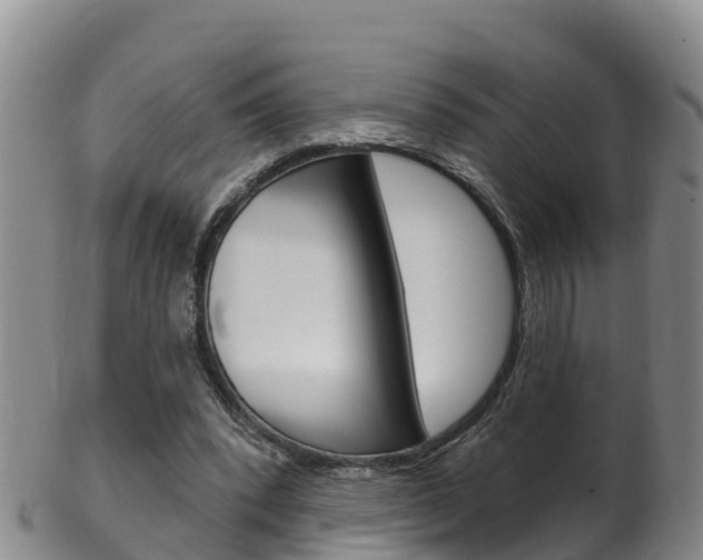 X0000102530392200808081057