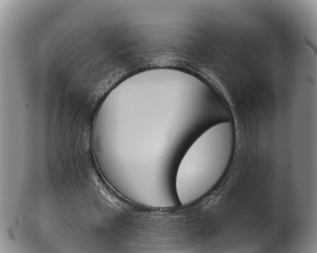 X0000102530393200808081057