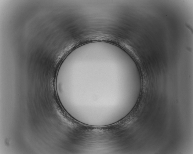 X0000102530394200808081057