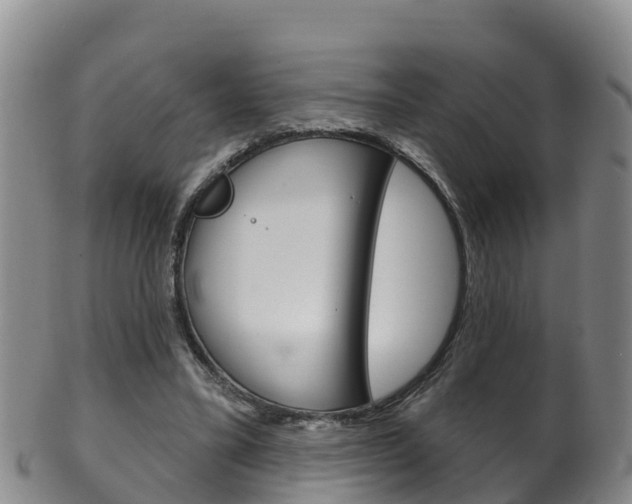 X0000102530395200808081057
