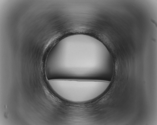 X0000102530396200808081057