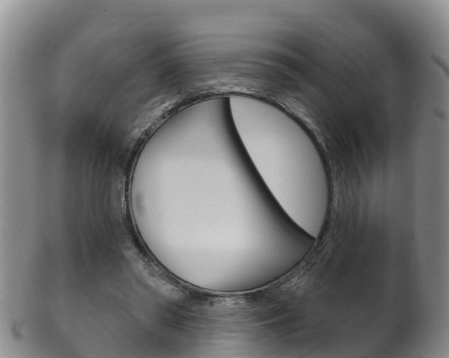 X0000102530398200808081057