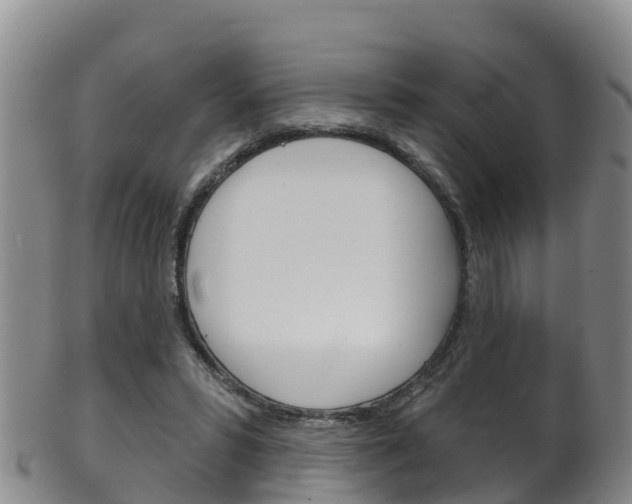 X0000102530399200808081057