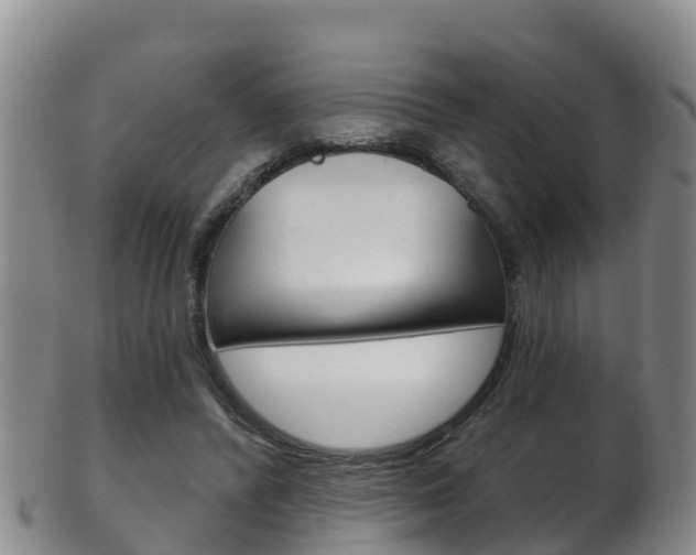 X0000102530400200808081057