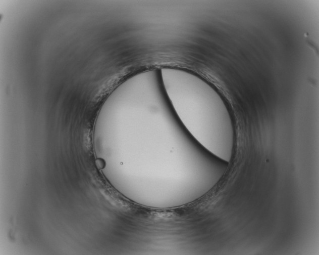 X0000102530401200808081057