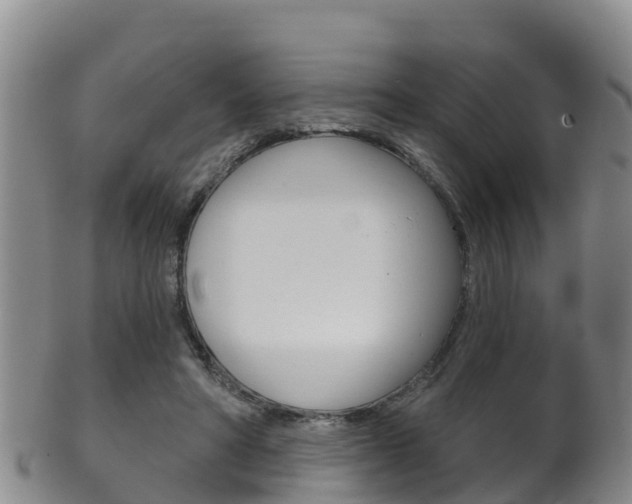 X0000102530402200808081057
