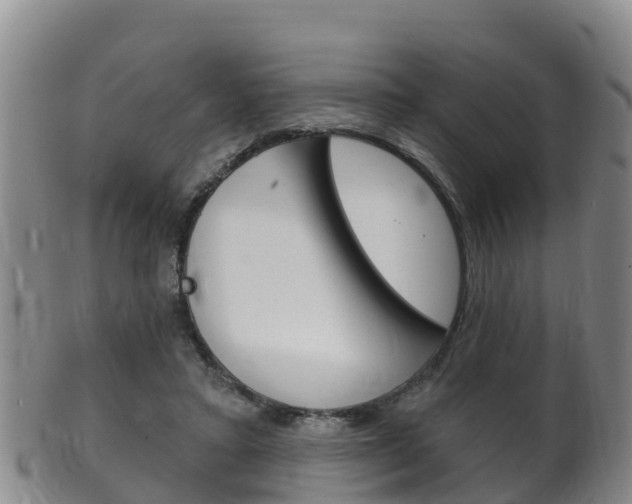 X0000102530403200808081057
