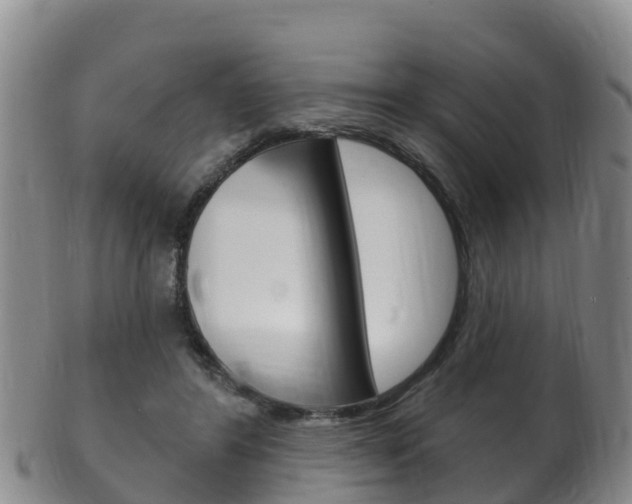X0000102530404200808081057