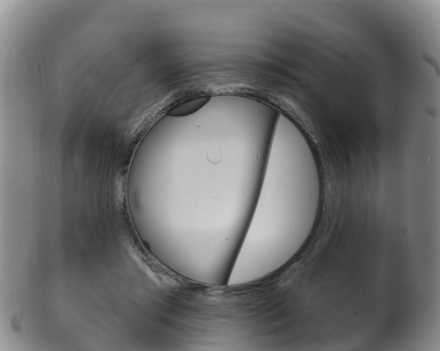 X0000102530405200808081057