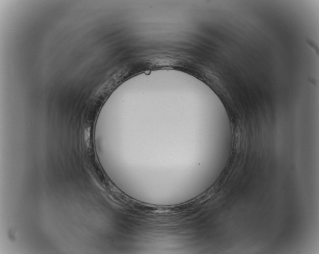 X0000102530406200808081057