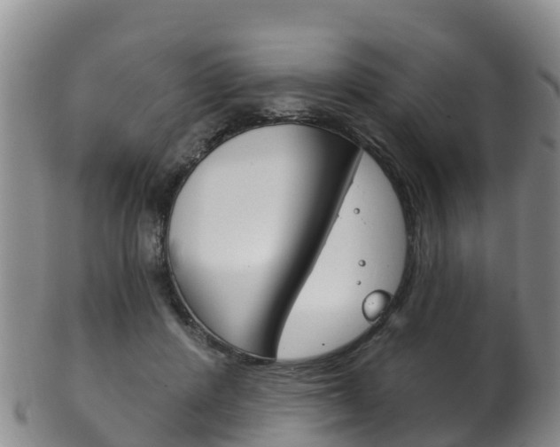 X0000102530408200808081057