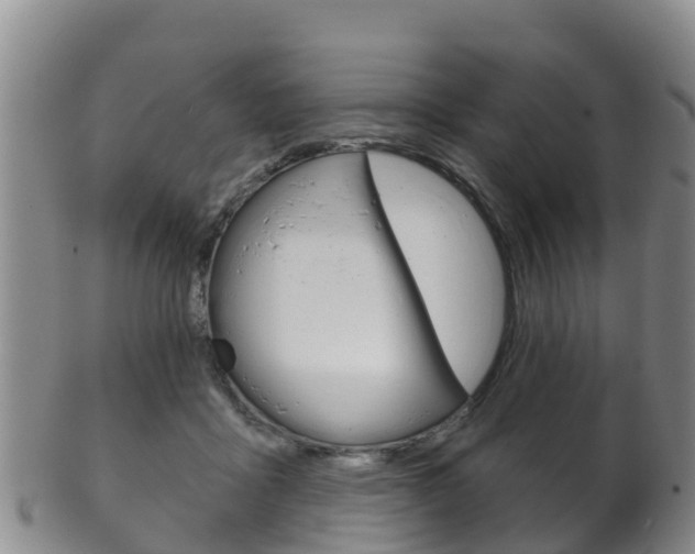 X0000102530411200808081057
