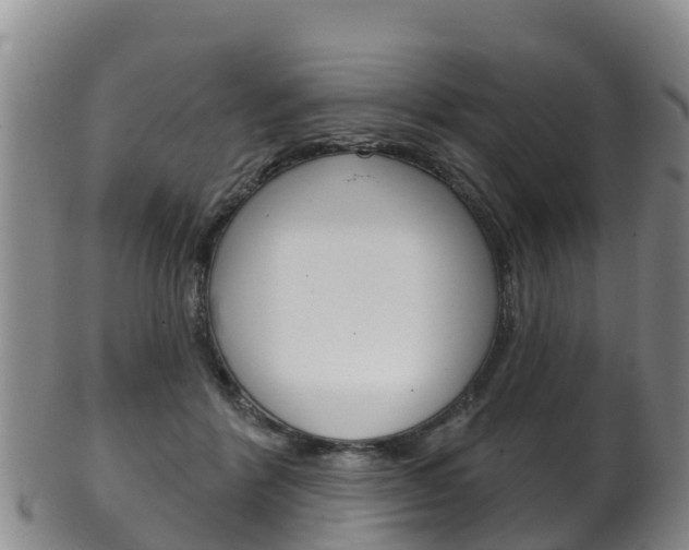 X0000102530412200808081057